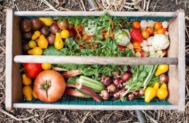 Restaurateur : comment s’assurer de la qualité des produits ?